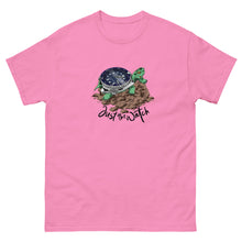 Load image into Gallery viewer, The Turtle
