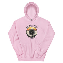 Load image into Gallery viewer, Unisex Hoodie